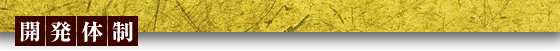 開発体制
